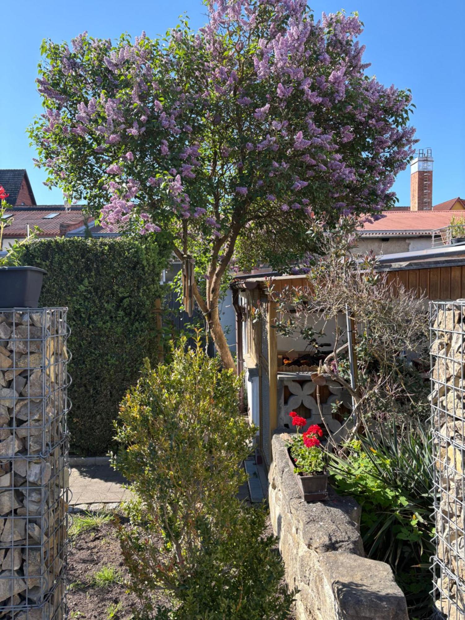 Haus Hannah Meiningen Exterior photo