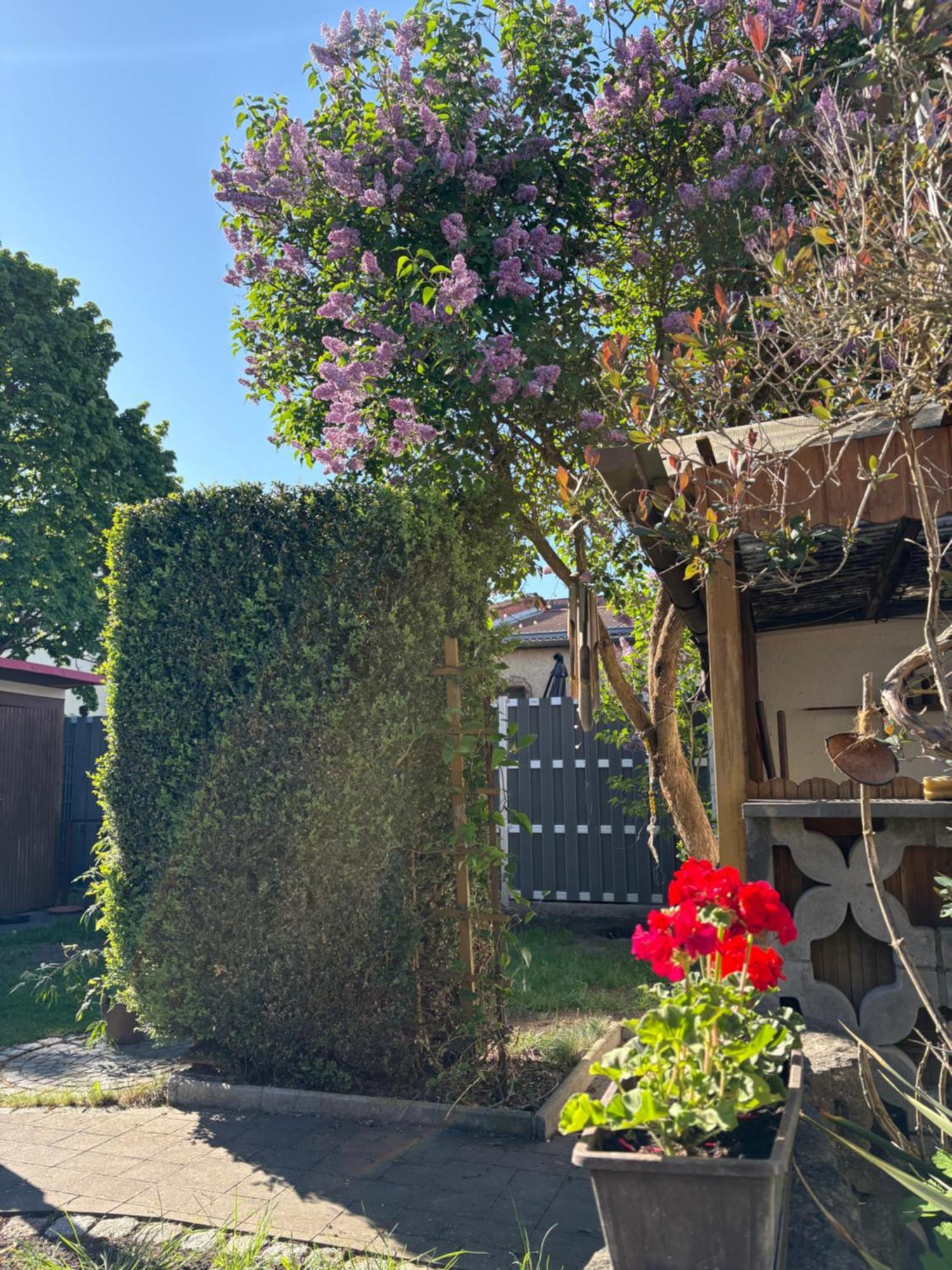 Haus Hannah Meiningen Exterior photo